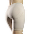 Sassybax Shaper Panty